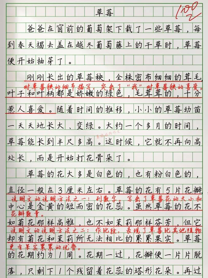 详细阅读:以下是一份围绕“草莓末”生成的约 1925 字内容,你可以根据实际需求进行调整和修改: 以下是一份围绕“草莓末”生成的约 1925 字内容,你可以根据实际需求进行调整和修改: