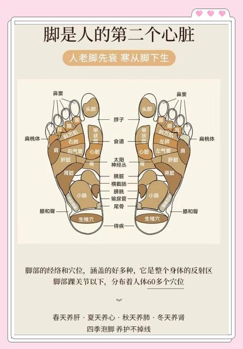 足部护理全攻略：呵护双足，健康生活