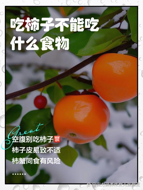 柿子末：从传统到现代的健康与美味