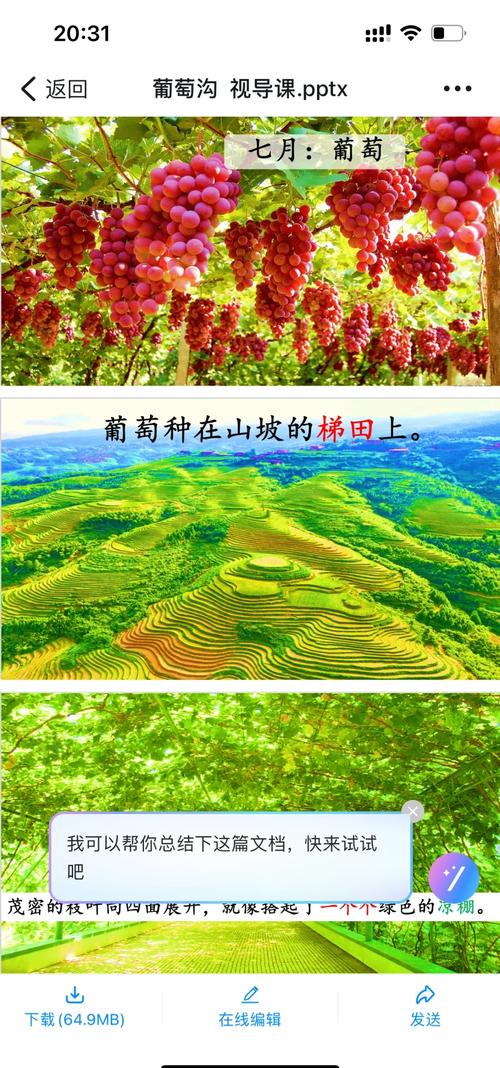 详细阅读:葡萄干的奥秘:从果园到餐桌的甜蜜之旅 葡萄干的奥秘:从果园到餐桌的甜蜜之旅