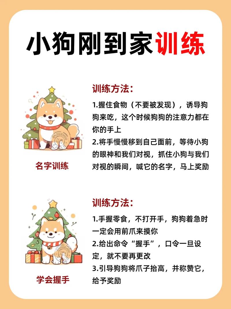 详细阅读:全面指南:宠物训练的黄金法则与技巧 全面指南:宠物训练的黄金法则与技巧