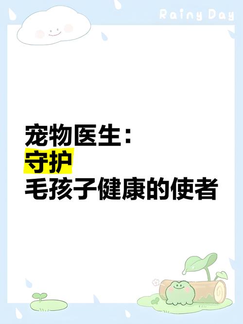 宠物健康检查：守护毛孩子们的健康防线