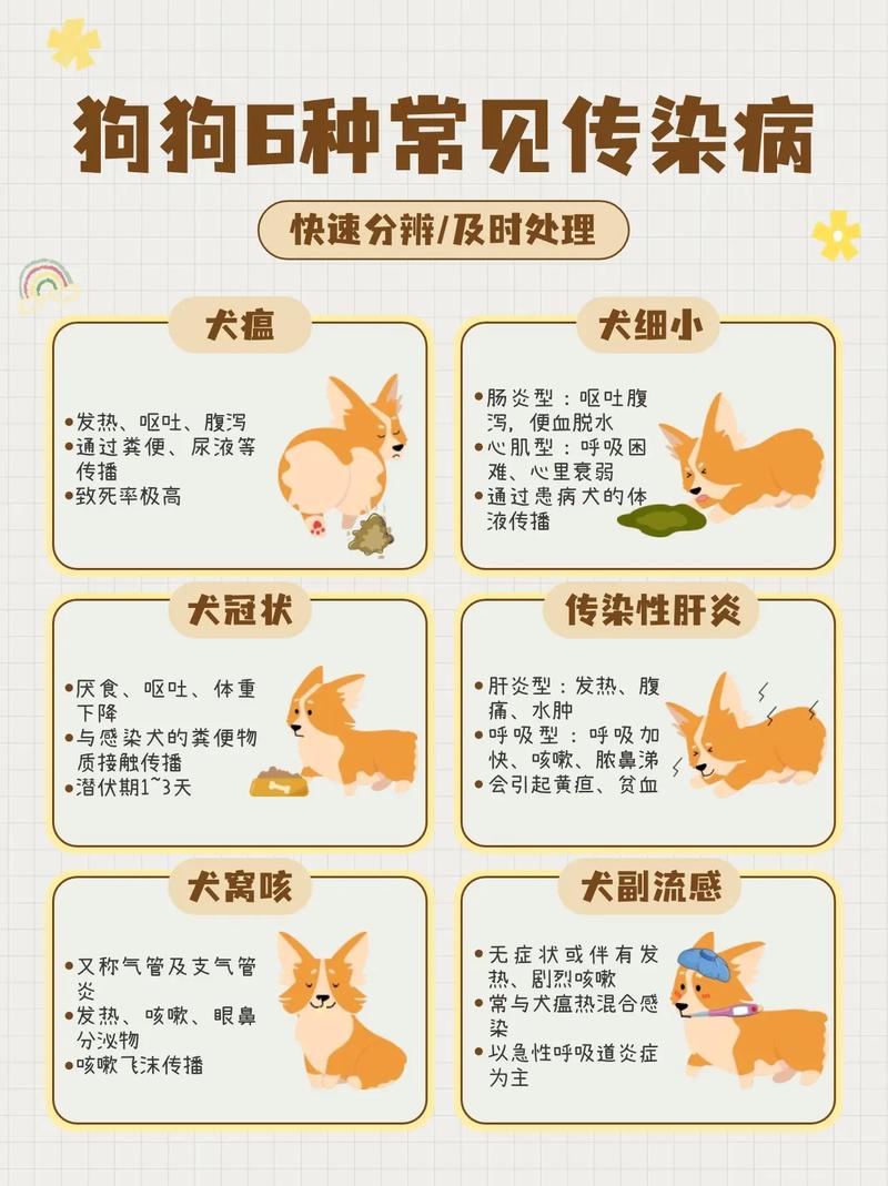 详细阅读:宠物常见生病症状及应对方法全解析 宠物常见生病症状及应对方法全解析