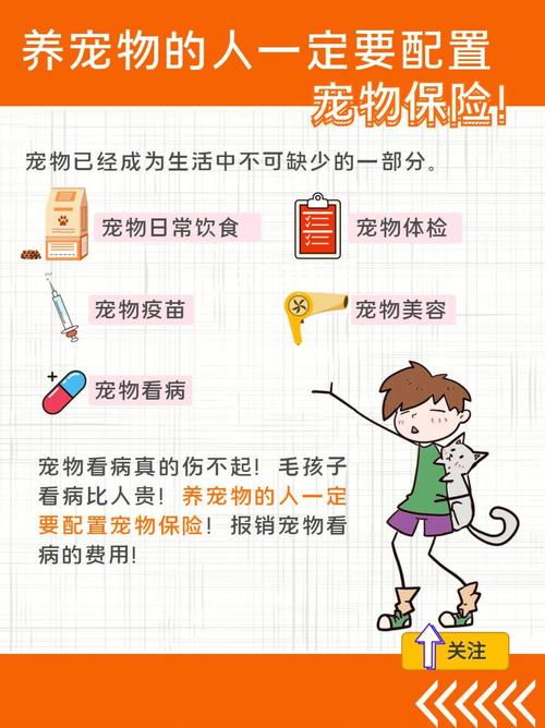 宠物保险选购指南：为宠物健康与幸福保驾护航