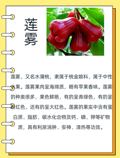 莲雾干：从鲜果到珍馐的奇妙蜕变