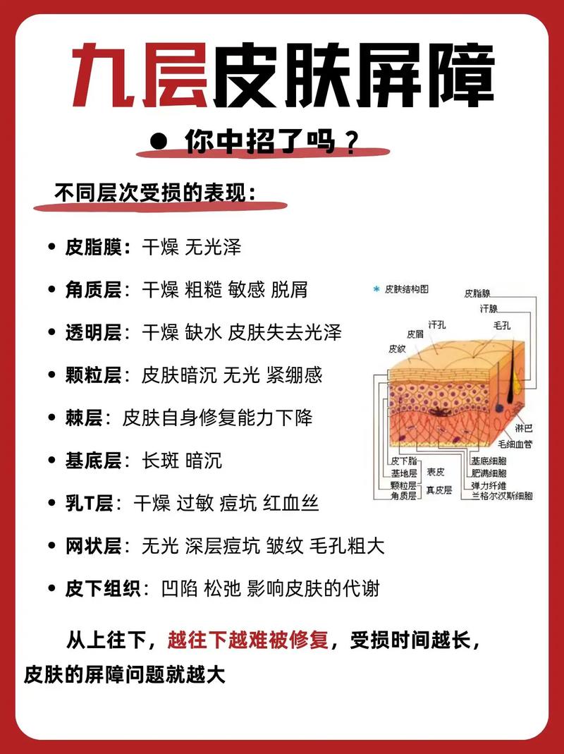 皮肤屏障受损修复：守护肌肤健康的必修课