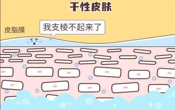 详细阅读:探秘皮肤油脂分泌调节:原理、影响因素与科学护理 探秘皮肤油脂分泌调节:原理、影响因素与科学护理