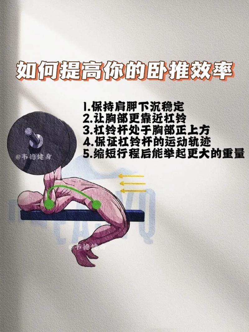 深度解析卧推：动作要领、训练价值与常见误区