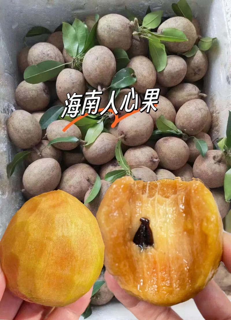 人心果酱：味蕾上的热带风情，心灵间的甜蜜纽带