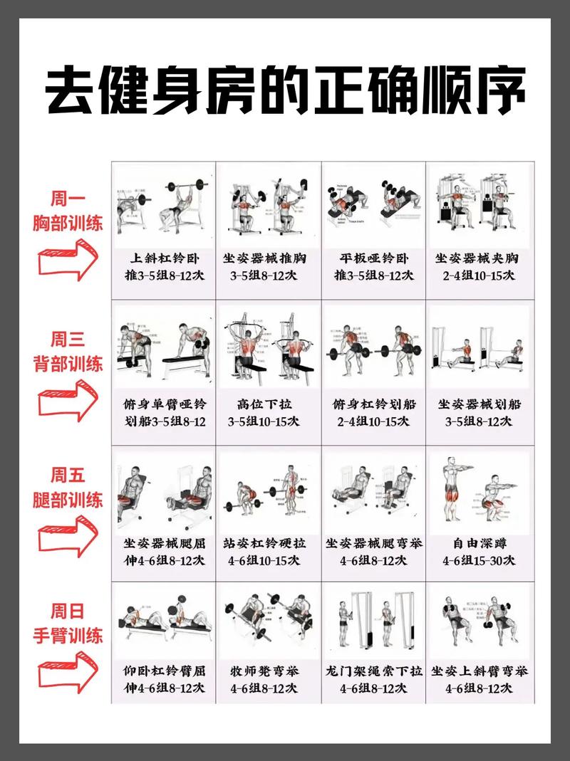 详细阅读:畅享活力,居家必备室内健身操指南 畅享活力,居家必备室内健身操指南