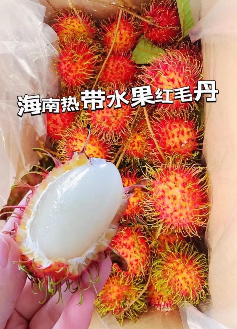 蜂蜜红毛丹茶：热带水果与甜蜜的完美融合