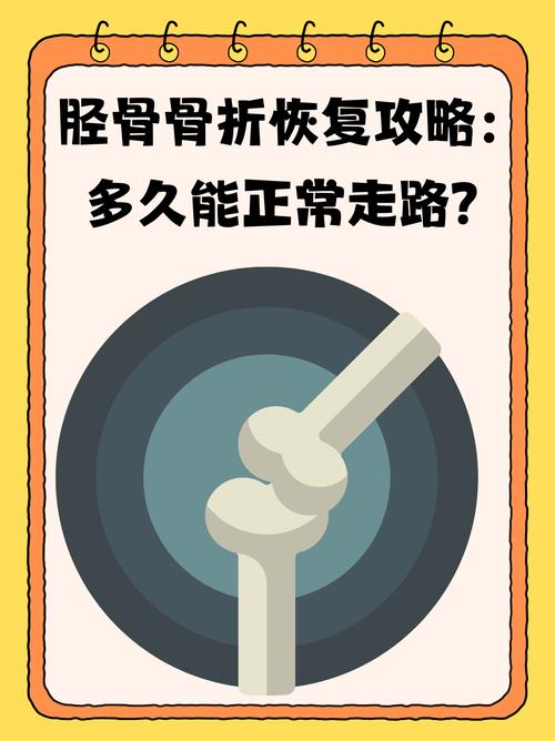详细阅读:骨折:从成因到康复,守护骨骼健康之路 骨折:从成因到康复,守护骨骼健康之路