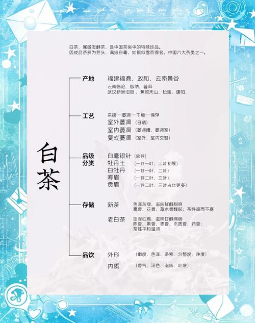 探秘白菜茶：从传统到现代的健康饮品之旅
