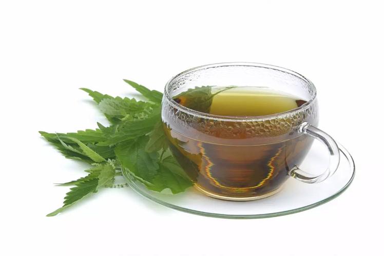 藿香茶：品味自然，领略独特魅力