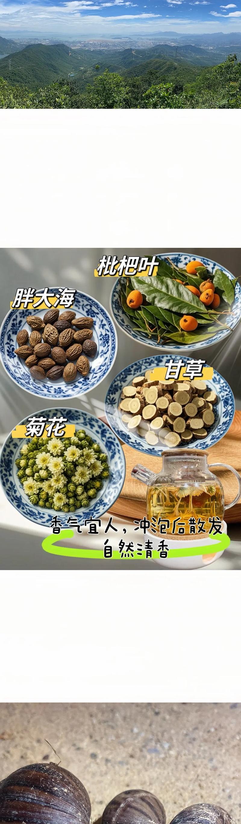 荆芥茶：一杯清香，千年传承的养生艺术
