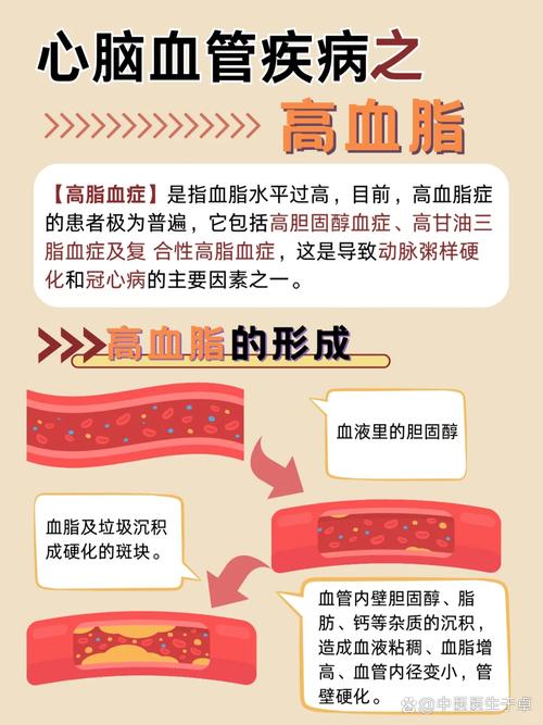 全面解析血脂：定义、来源、影响及管理
