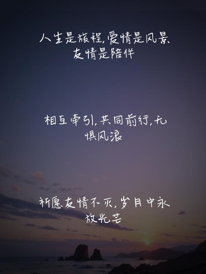 友情的温暖港湾