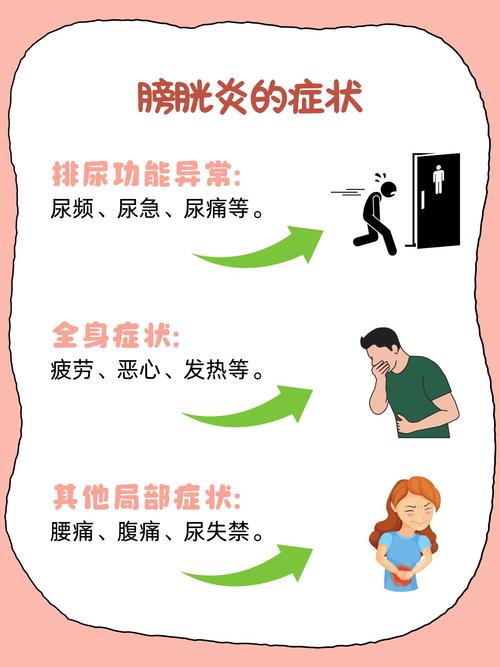 膀胱炎：常见泌尿系统的“小麻烦”与应对之策