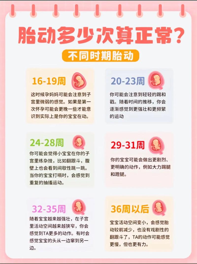 孕期数胎动方法：全面指南与注意事项