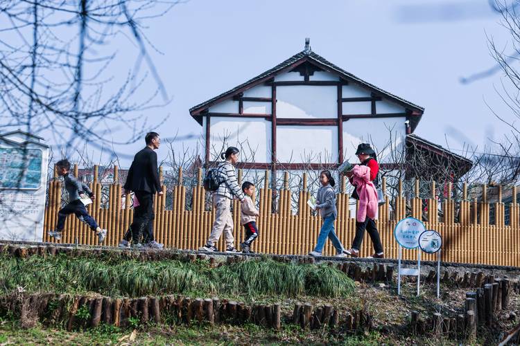 详细阅读:寻梦田园:一场难忘的乡村旅游体验 寻梦田园:一场难忘的乡村旅游体验