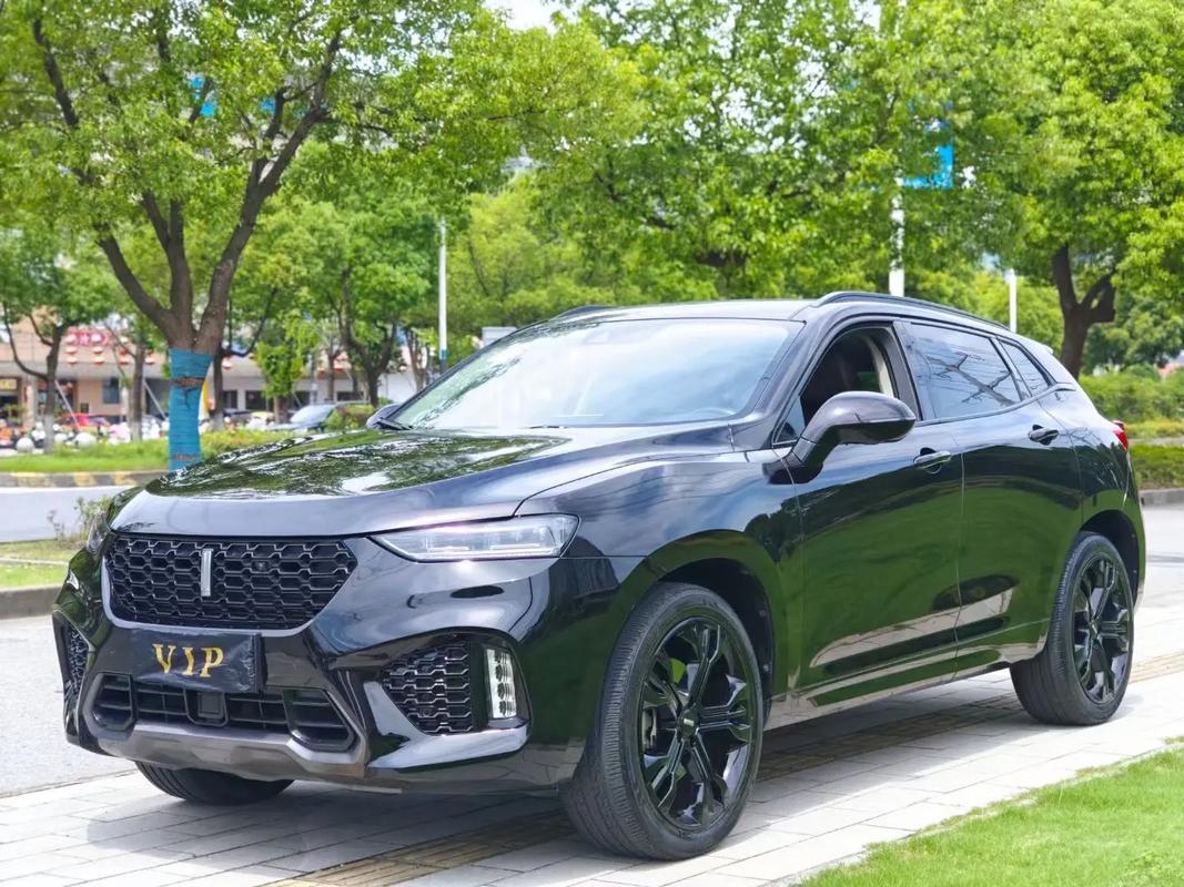 长城WEY VV7：从辉煌到落寞的豪华SUV