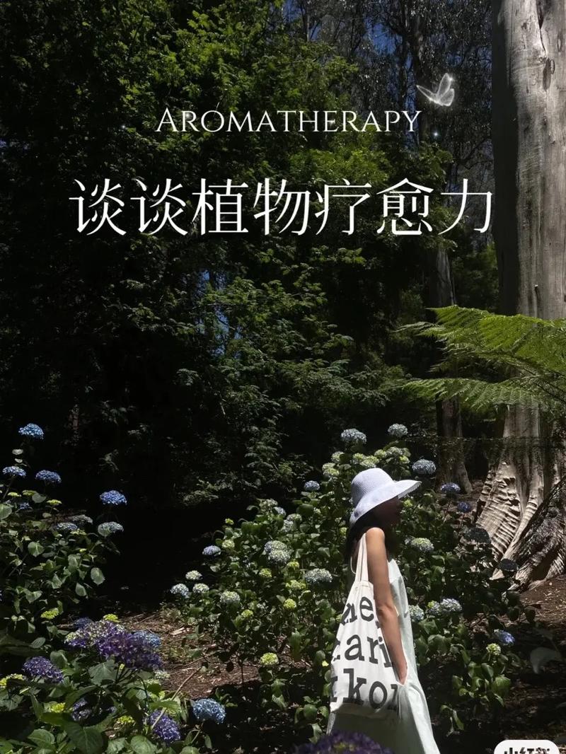 探索芳香疗法：自然的疗愈之力