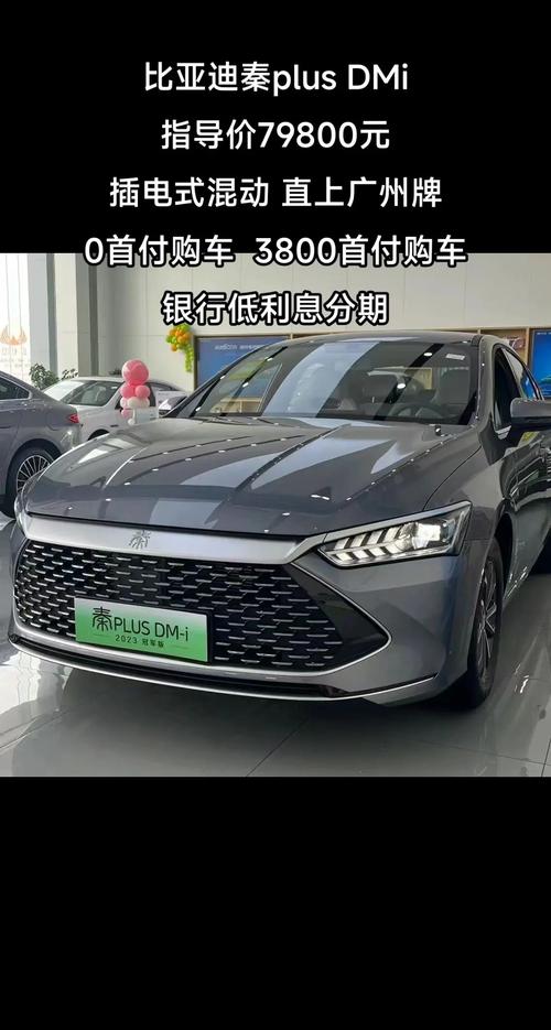 比亚迪秦PLUS DM-i：混动新贵，引领未来出行新风尚