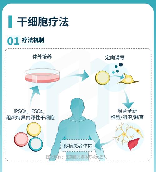 细胞疗法：探索疾病治疗的前沿领域