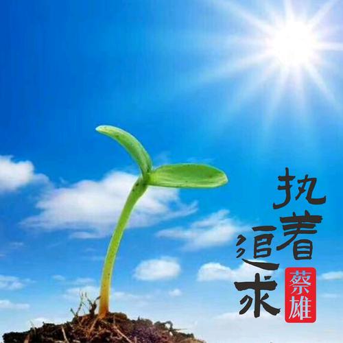 爱情，在执着坚定中绽放绚烂光芒