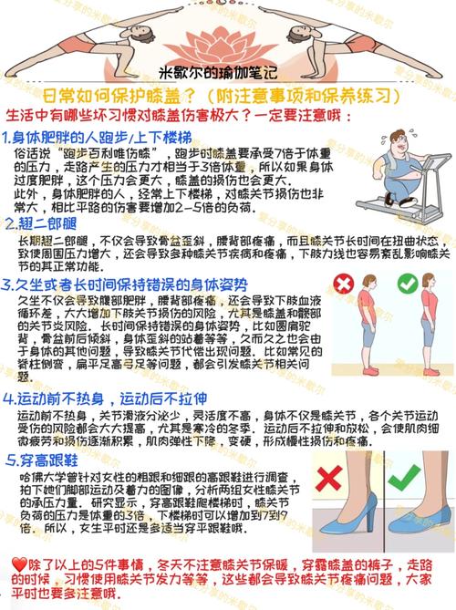 详细阅读:膝盖健康守护指南:日常护理与保养要点 膝盖健康守护指南:日常护理与保养要点