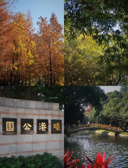 广州晓港公园：都市中的自然绿洲与文化瑰宝
