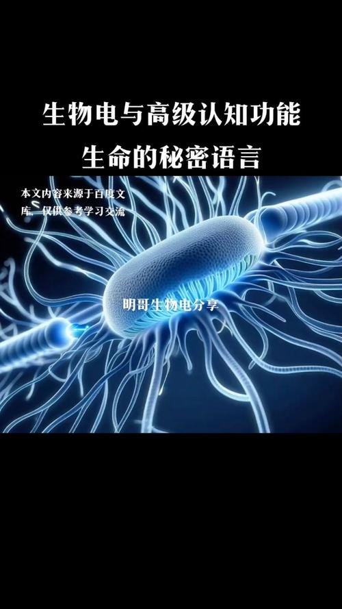 触觉：无声的语言，生命的共鸣