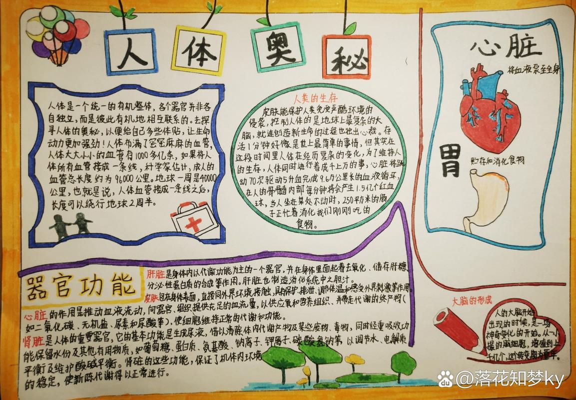 探索人体抵抗力的奥秘：开启健康生活之门