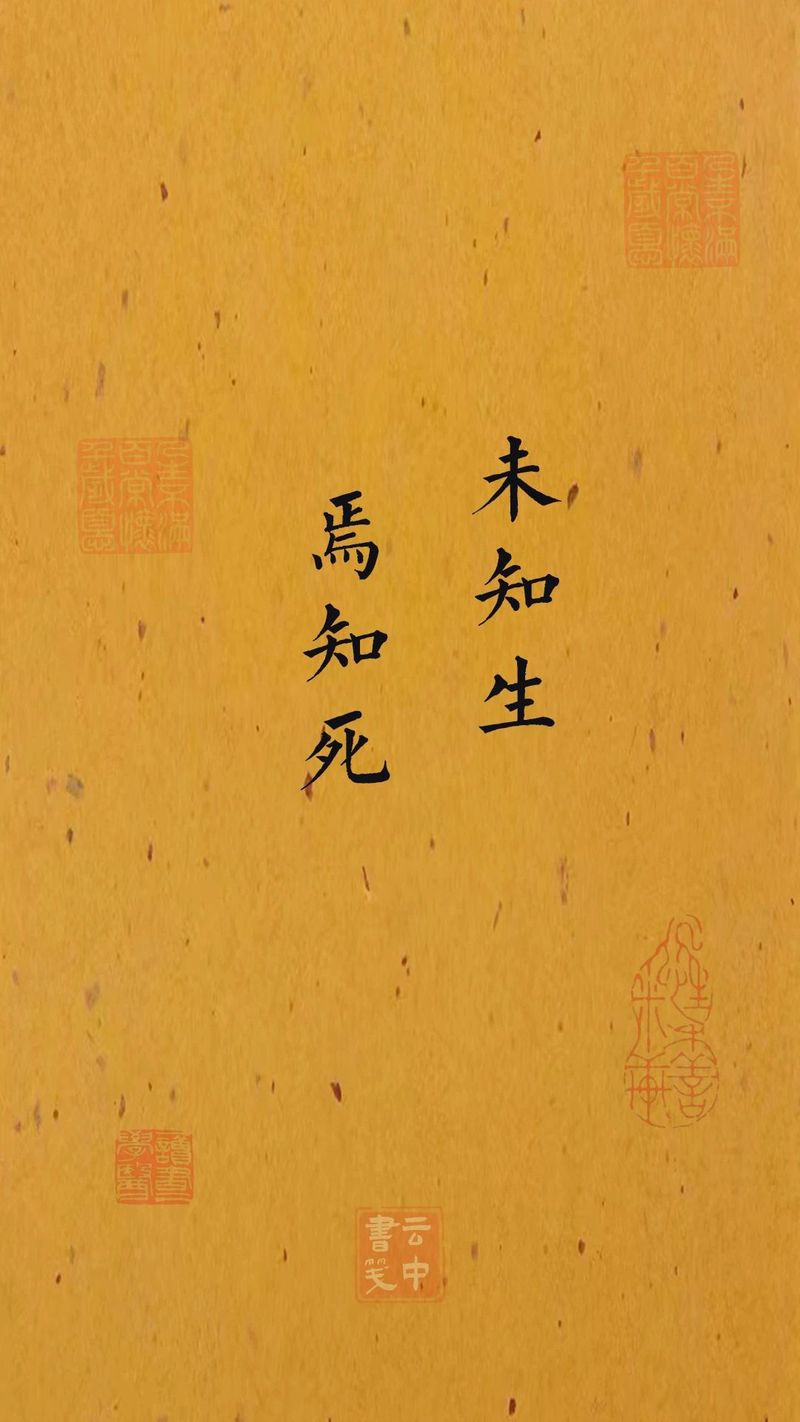 于麻木之境，寻生命真章