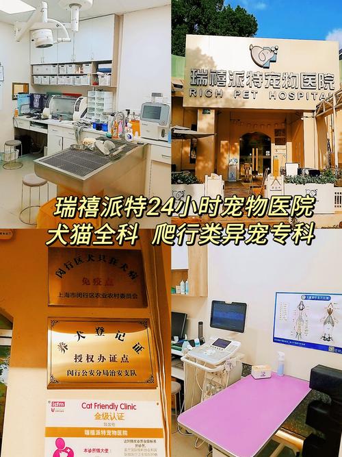 专业宠物医院服务，守护毛孩子健康