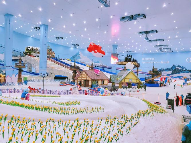 广州热雪奇迹：冰雪梦幻之旅