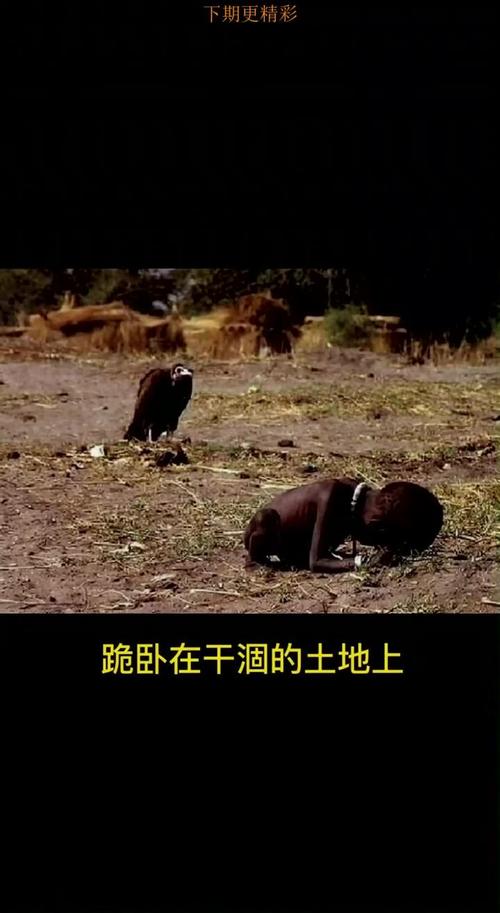 详细阅读:饥饿:无声的呐喊 饥饿:无声的呐喊