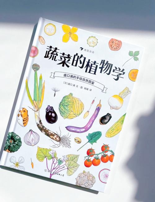 韭菜的奇妙世界：从田间到餐桌的故事