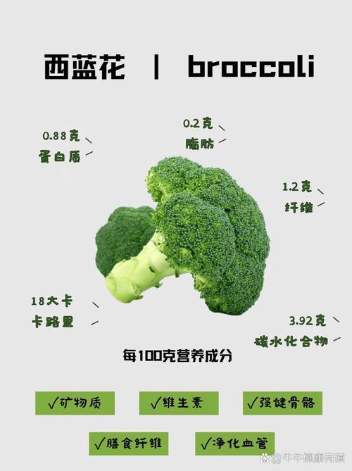 详细阅读:西兰花:营养宝库与美食典范 西兰花:营养宝库与美食典范