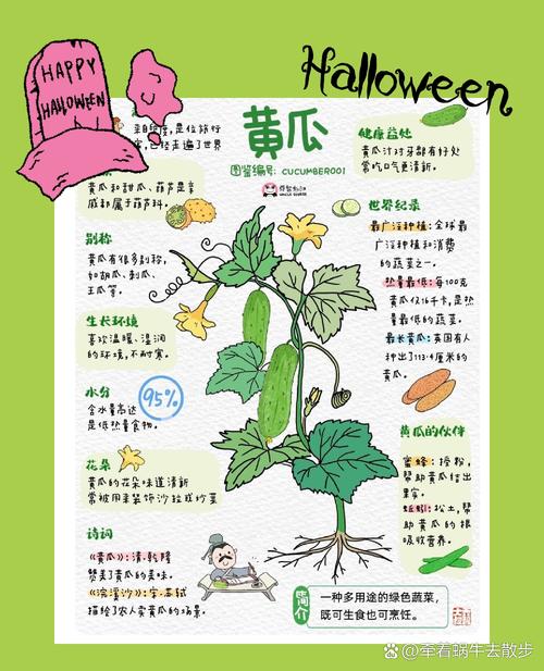 详细阅读:黄瓜:从田园到餐桌的清新传奇 黄瓜:从田园到餐桌的清新传奇