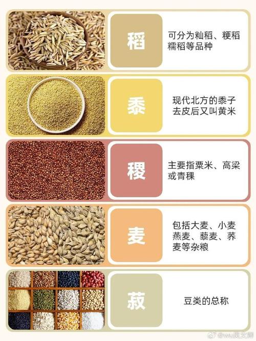 详细阅读:粗粮:健康饮食的宝藏谷物 粗粮:健康饮食的宝藏谷物