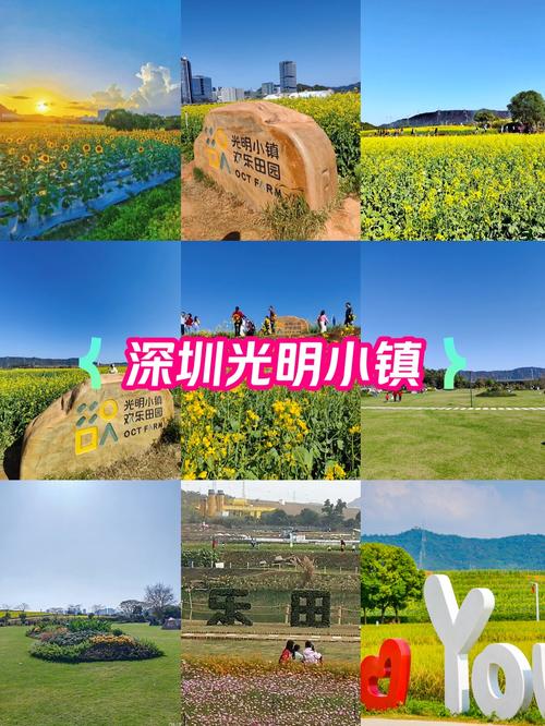 光明小镇欢乐田园：都市田园的梦幻乐章