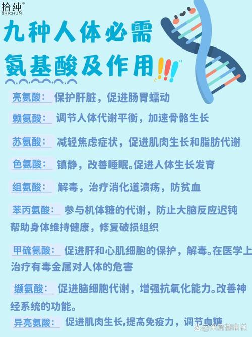 探索氨基酸的奥秘