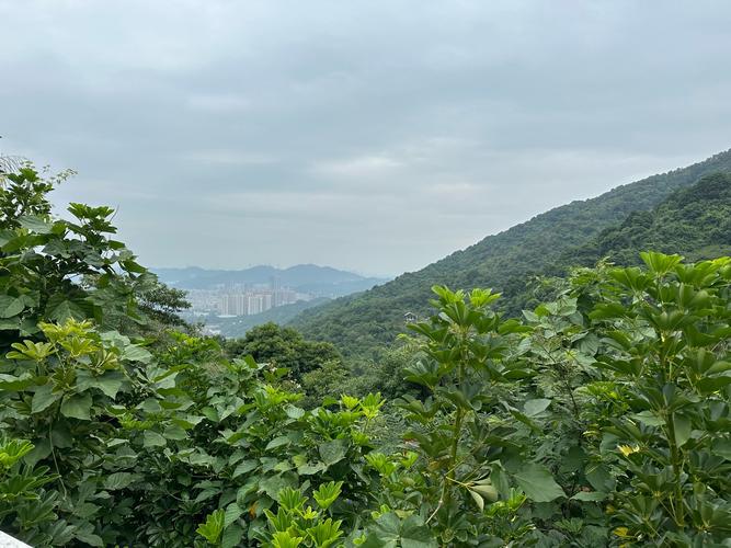 详细阅读:探秘阳台山森林公园:自然与人文交织的绿色瑰宝 探秘阳台山森林公园:自然与人文交织的绿色瑰宝