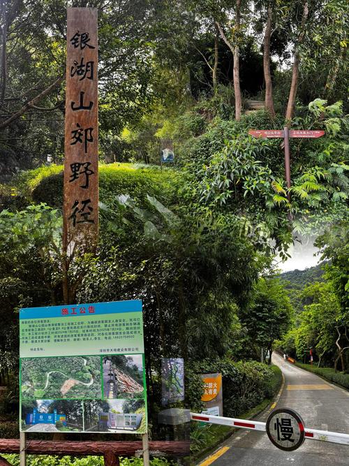 银湖山郊野公园：城市中心的绿色绿洲