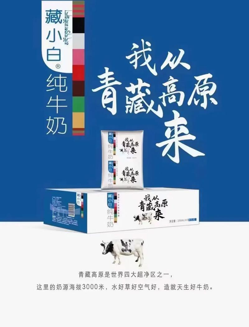 牛奶：大自然馈赠的白色宝藏