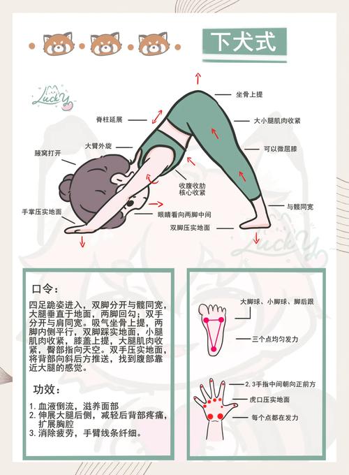 柔韧性训练：解锁身体无限可能