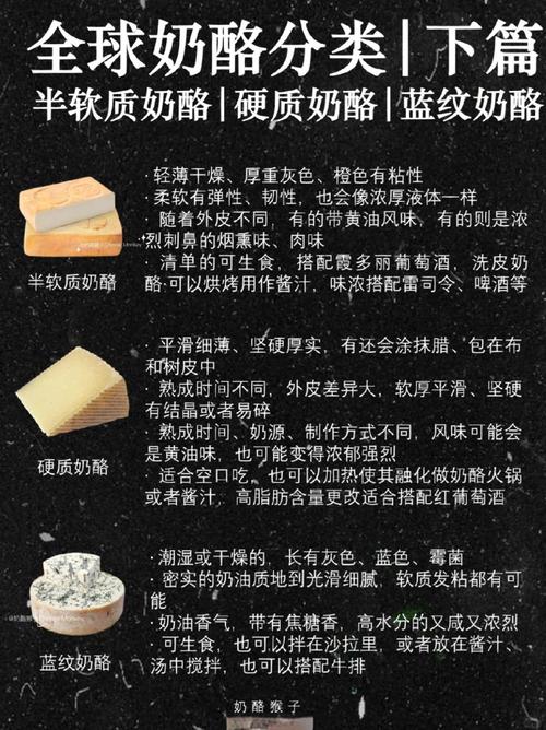 奶酪：生活中的甜蜜馈赠与文化符号