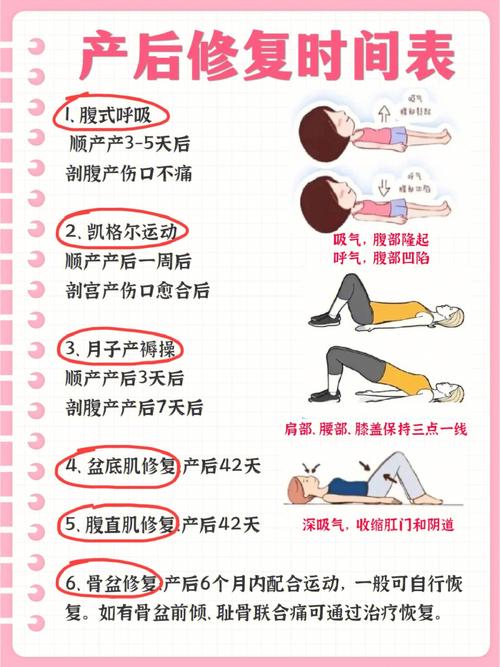 产后骨盆修复带：科学选择与正确使用指南