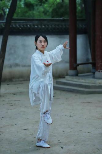 详细阅读:太极神韵:古老智慧与现代生活的完美交融 太极神韵:古老智慧与现代生活的完美交融